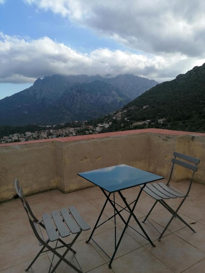 Bed and Breakfast La Ventulella Moltifao Exteriér fotografie