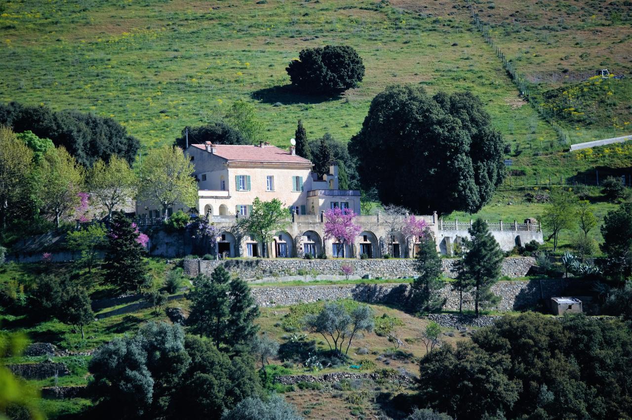 Bed and Breakfast La Ventulella Moltifao Exteriér fotografie